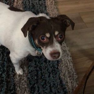 Meet your Posher, Toni